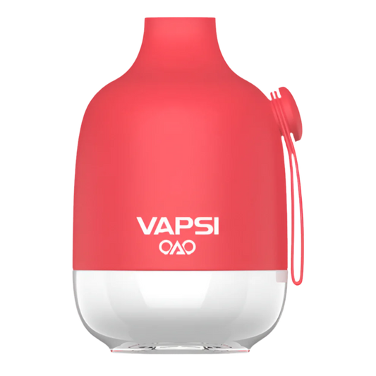 VAPSI 6,000 hits (pack 10-5 pz)